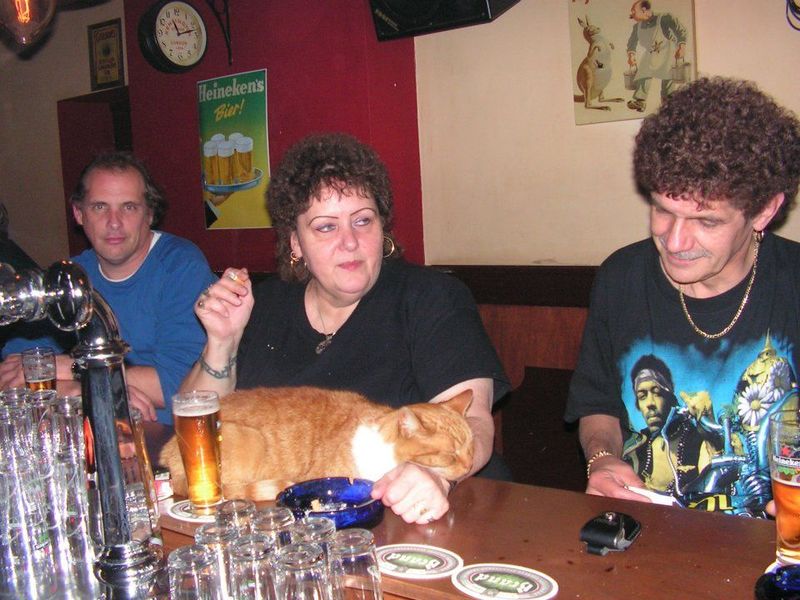 Bestand:Poes Bar Dinges.jpg